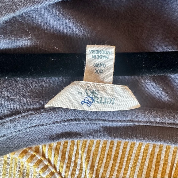 Terra & Sky Dress | Tunic | 1X - Picture 9 of 9